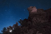 Moon Rises through Trees in Oklahoma Fine Art Print