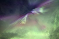 Aurora Borealis and Big Dipper Burst, Canada Fine Art Print