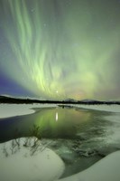 Aurora Borealis over a creek, Yukon, Canada Fine Art Print