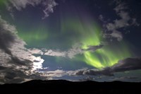 Aurora Borealis with Moonlight at Fish Lake, Yukon, Canada Fine Art Print