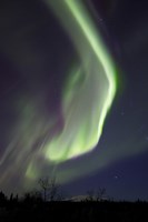 Aurora Borealis with Orion's Belt, Yukon, Canada by Joseph Bradley - various sizes