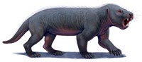 Kayentatherium, a Mammal-like Tritylodont of the Jurassic Period by H. Kyoht Luterman - various sizes