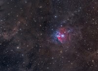 Obscure Nebula in Orion Fine Art Print