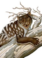 Thylacoleo, a Marsupial Lion from the Pleistocene Age by H. Kyoht Luterman - various sizes