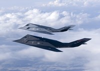 Two F-117 Nighthawk Stealth Fighters Fine Art Print