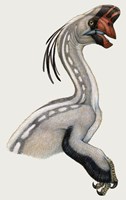 Oviraptor, a Small Dinosaur that Lived During the Cretaceous period by H. Kyoht Luterman - various sizes