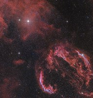 Veil Nebula in the Constellation Cygnus Fine Art Print
