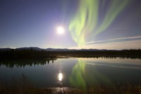 Aurora Borealis with Full Moon over the Yukon River in Canada Fine Art Print