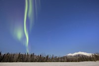 Aurora Borealis near Mayo, Yukon, Canada Fine Art Print