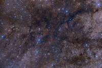 Dark Nebula Complex LDN 1003 Fine Art Print