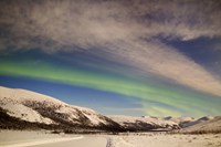 Aurora Borealis with Moonlight over Ogilvie Mountains, Canada Fine Art Print