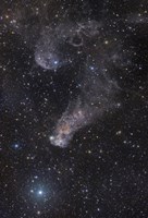 The Question Mark Nebula in Orion Fine Art Print