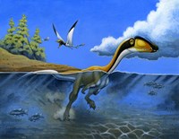 Megapnosaurus Dinosaur Goes for a Swim by H. Kyoht Luterman - various sizes