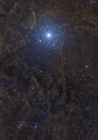 Polaris Surrounded by Molecular Clouds Fine Art Print