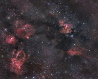 Nebulosity in the Cepheus Constellation Fine Art Print