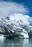 Large icebergs on Tasman Glacier Terminal Lake, South Island, New Zealand Fine Art Print