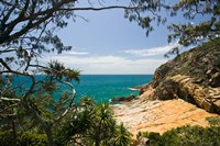 Australia, Queensland, Cook's Landing beach Fine Art Print