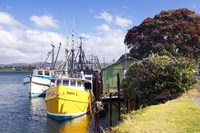 Fishing Boats, Tauranga Harbor, Tauranga, New Zealand Fine Art Print