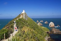 Lighthouse, Nugget Point, South Island, New Zealand Fine Art Print