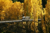Autumn Colors, Victoria Bridge, Kawarau Gorge, South Island, New Zealand Fine Art Print