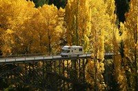 Autumn Colors, Victoria Bridge, Kawarau Gorge, South Island, New Zealand Fine Art Print