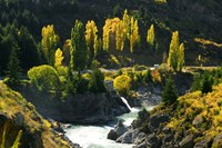 Autumn Colours, Kawarau River, Kawarau Gorge, South Island, New Zealand Fine Art Print