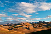 North Otago Landscape, South Island, New Zealand Fine Art Print