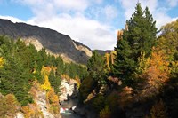 Shotover Jet, Shotover River, Queenstown, New Zealand Fine Art Print