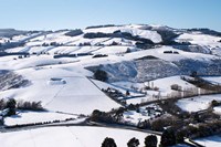 Winter snow near Invermay Research Centre, Taieri Plain, South Island, New Zealand Fine Art Print