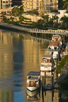 Australia, Brisbane, Brisbane River Marina boats Fine Art Print