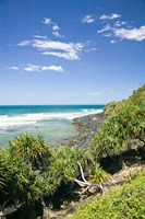 Australia, Gold Coast, Burleigh Head NP beach Fine Art Print