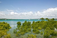 Australia, Queensland, Town of 1770, Bustard Bay Fine Art Print