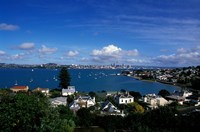 Torpedo Bay, Auckland, North Island, New Zealand, Oceania Fine Art Print