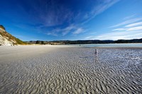 Beach, Doctors Point, South Island, New Zealand (horizontal) Fine Art Print