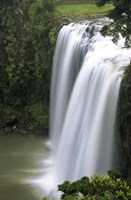 Whangarei Falls, Whangarei, Northland, New Zealand Fine Art Print