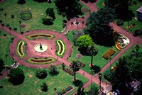 Albert Park and Auckland CBD, New Zealand Fine Art Print