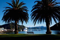Picton, Marlborough, South Island, New Zealand by Douglas Peebles - various sizes