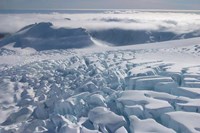 Fox Glacier, West Coast, South Island, New Zealand by Douglas Peebles - various sizes