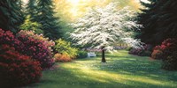 Spring Morning Fine Art Print