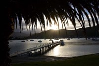Waikawa Bay, near Picton, Marlborough Sounds, South Island, New Zealand Fine Art Print