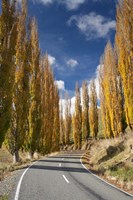 Autumn, Rangitikei District, North Island, New Zealand Fine Art Print