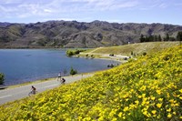 Californian Poppies and Cyclists, Lake Dunstan, South Island, New Zealand Fine Art Print