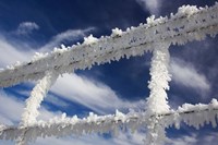 Frosty Wire Fence, Otago, South Island, New Zealand Fine Art Print