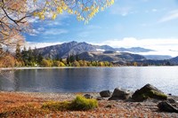 Glendhu Bay, Lake Wanaka, Otago, South Island, New Zealand Fine Art Print