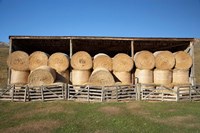 Hay Barn, Ahuriri Valley, North Otago, South Island, New Zealand Fine Art Print