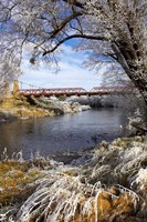Historic Suspension Bridge, Taieri River, South Island, New Zealand Fine Art Print