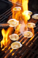 Scallops on Barbeque Fine Art Print