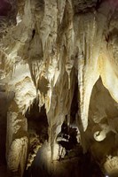 Stalactites, Ruakuri Caves, North Island, New Zealand Fine Art Print
