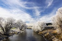 Taieri River, Sutton, Otago, South Island, New Zealand Fine Art Print