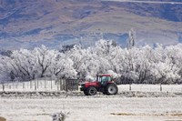 Tractor and Hoar Frost, Sutton, Otago, South Island, New Zealand Fine Art Print